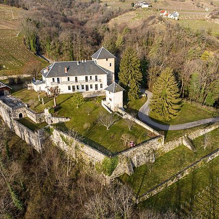 Chateau D'Apremont Apremont  Bagian luar foto