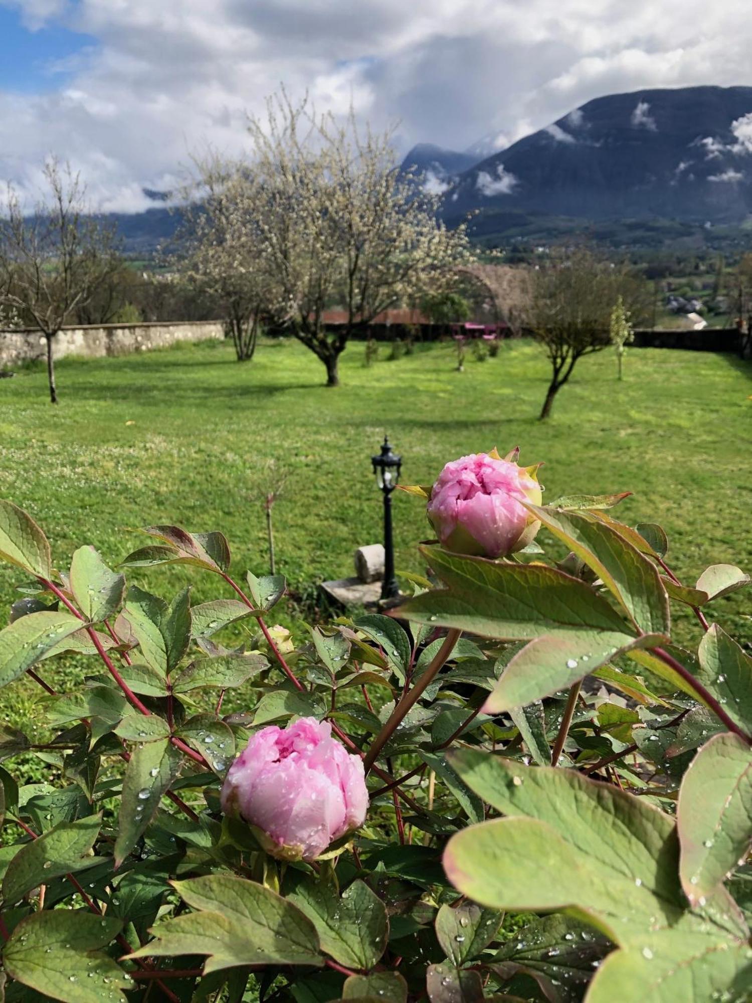Chateau D'Apremont Apremont  Bagian luar foto